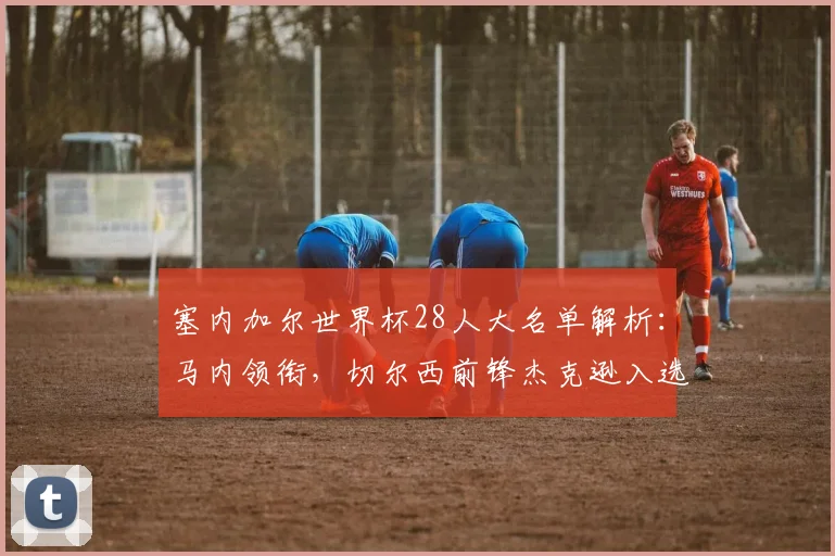 塞内加尔世界杯28人大名单解析:马内领衔,切尔西前锋杰克逊入选